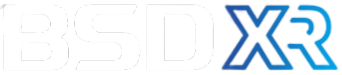 BSDXR BSDXR